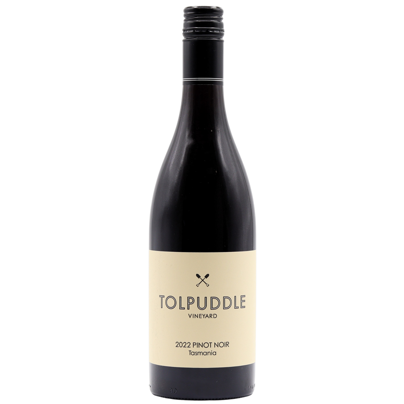 TOLPUDDLE - PINOT NOIR