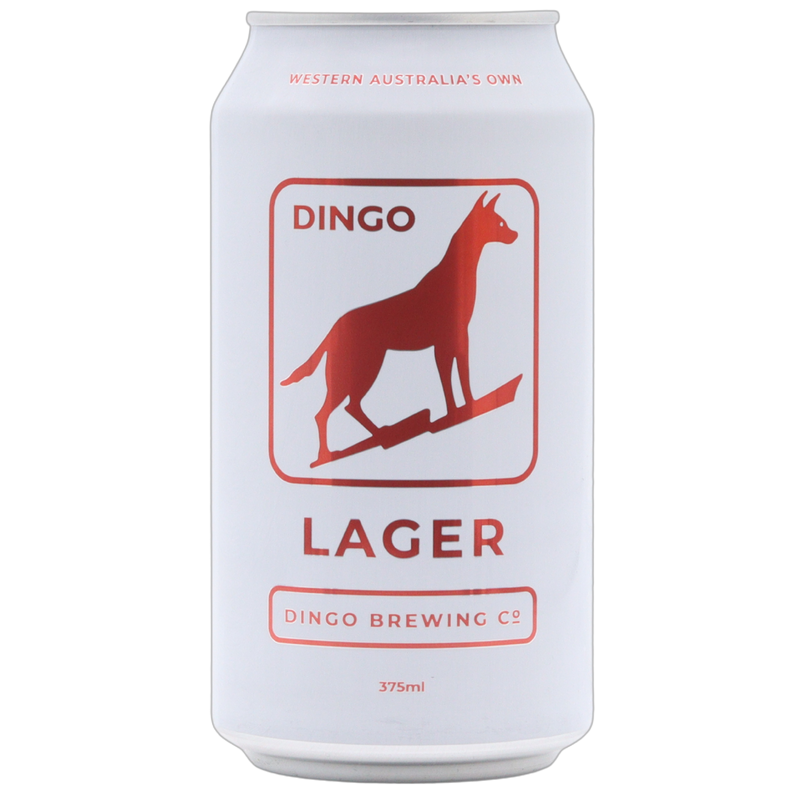 DINGO - LAGER