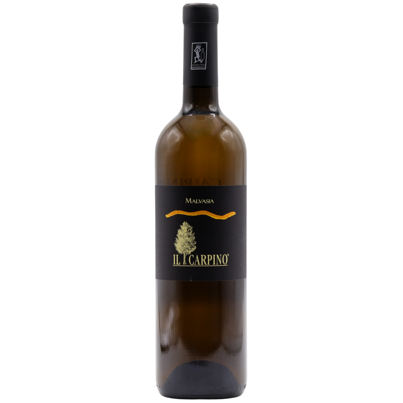 IL CARPINO - MALVASIA