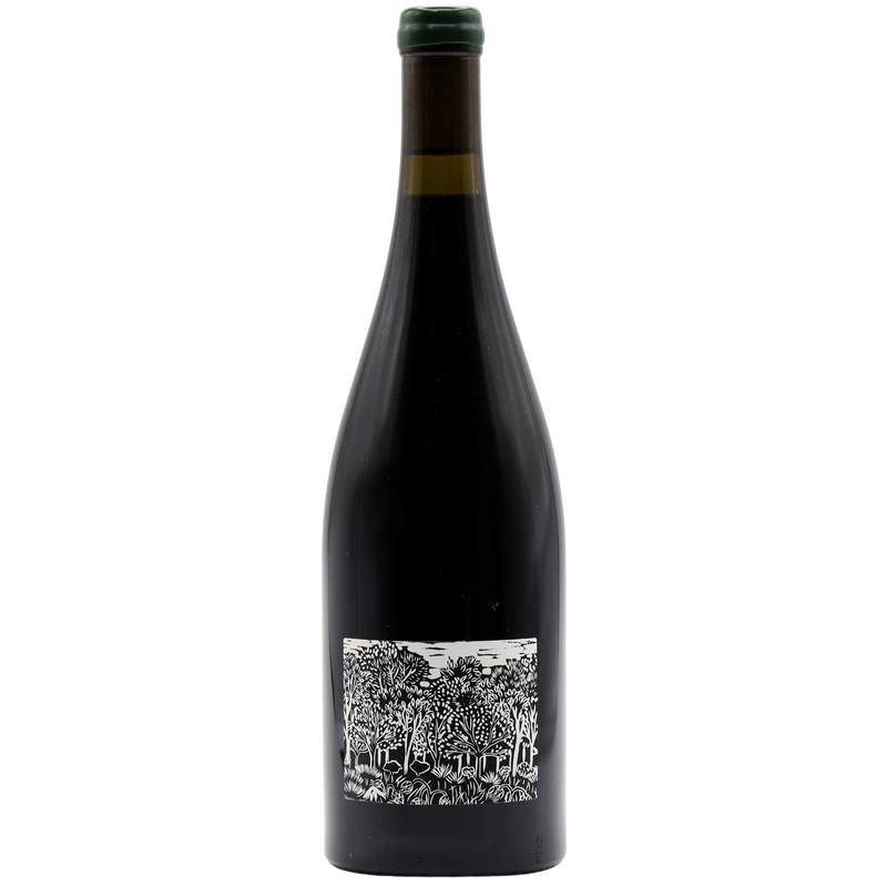 JOSHUA COOPER - BLANCHE BARKLEY OLD VINES SHIRAZ