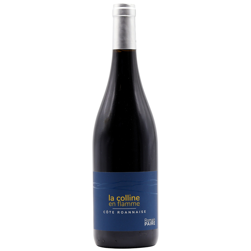 ROMAIN PAIRE - LA COLLINE EN FLAMME COTE ROANNAISE