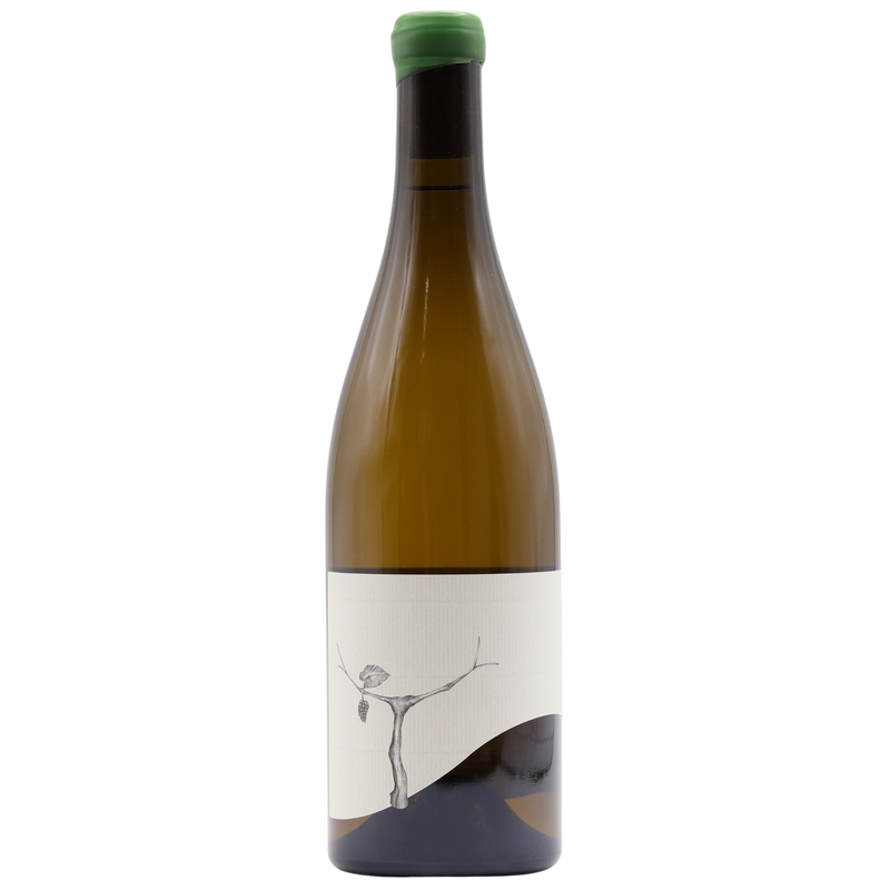 TATURRY - BANJO CHARDONNAY