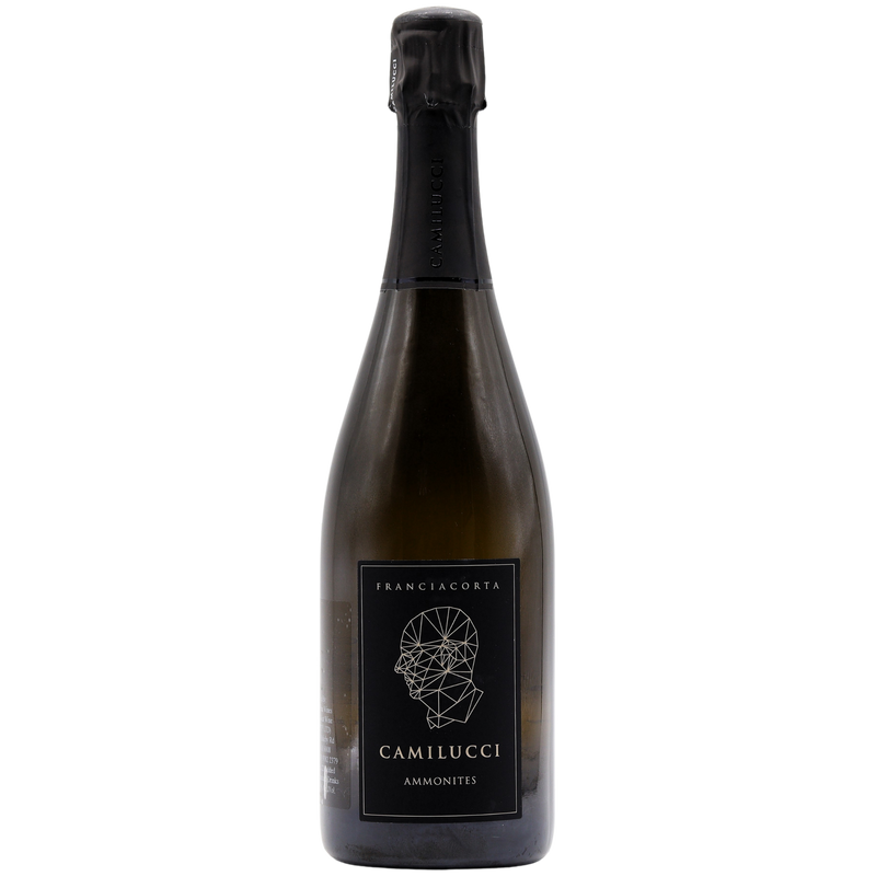 CAMILUCCI - AMMONITES FRANCIACORTA